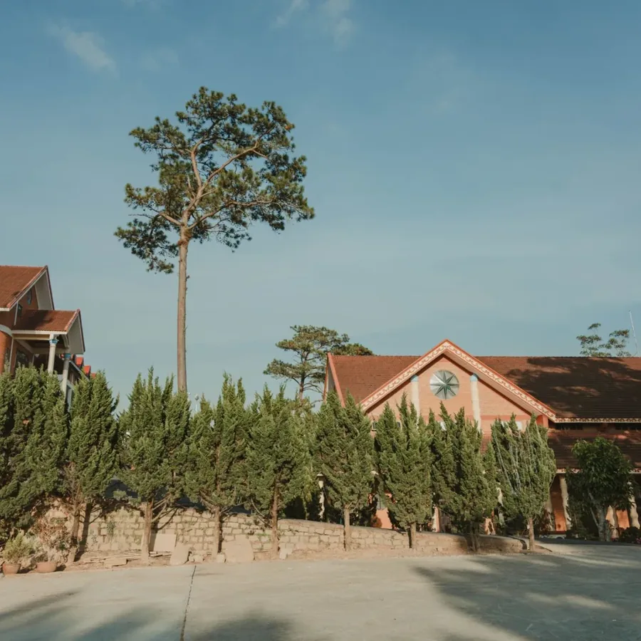 Hình ảnh tại Trung Phương Anh 2